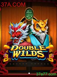 Explorando o Mundo de DoubleWilds: Um Guia Completo